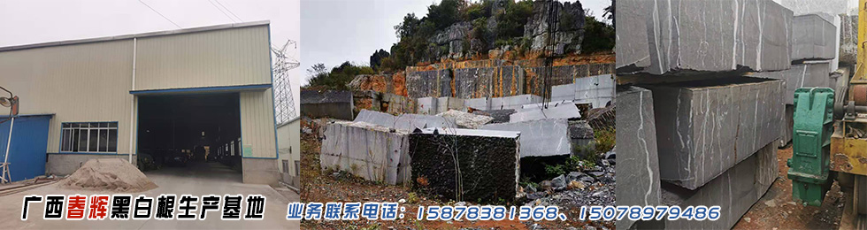 广西K8凯发黑白根生产基地www.nanocal.com.cn的网站横幅图片